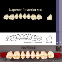Зубы акриловые  Naperce  В1 М32  боковые, верхние, двухслойные (8шт) YAMAHACHI