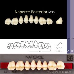Зубы акриловые  Naperce  А4 М33  боковые, верхние, двухслойные (8шт) YAMAHACHI