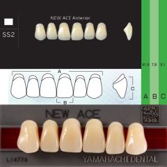 Зубы New Ace фронт.верх  A3 SS2  YAMAHACHI (6шт)