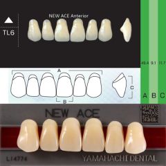 Зубы New Ace фронт.верх  A3.5 TL6  YAMAHACHI (6шт)