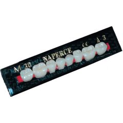 Зубы акриловые  Naperce  В1 М36  боковые, нижние, двухслойные (8шт) YAMAHACHI