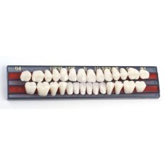 Зубы  акриловые YAMAHACHI B2/TL6 (1гарн.)