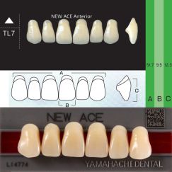 Зубы New Ace фронт.верх  B1 TL7  YAMAHACHI (6шт)